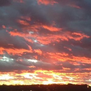 Meet your Posher, Elaine